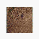 Encens naturel "Basilique"  Issus de l'arbre de Boswellia, tous nos encens sont importés directement d'Afrique de l'Est. Le calibrage et la sélection se font directement dans les pays de production. Nos encens naturels ne subissent aucune transformation. Le conditionnement est réalisé dans nos murs. Ciergerie Desfossés